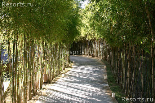 The Ritz Carlton Bali Resort & Spa 12